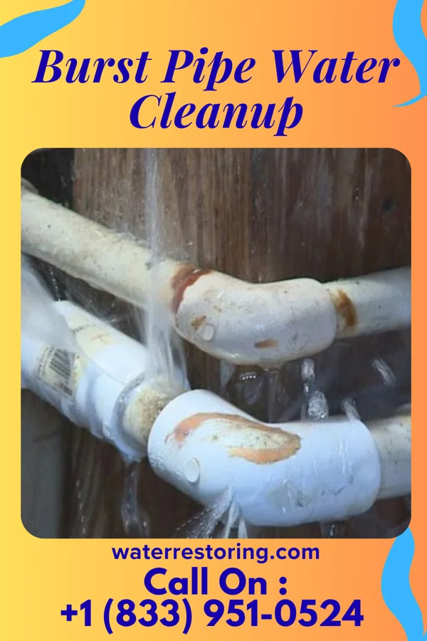 Burst Pipe Water Cleanup in Cherry Grove, OR