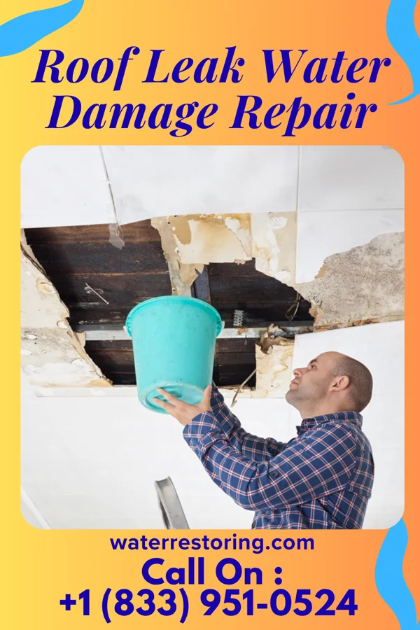 Roof Leak Water Damage Repair in Cherry Grove, OR