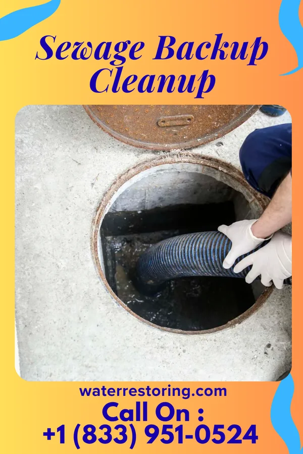Sewage Backup Cleanup in Cherry Grove, OR