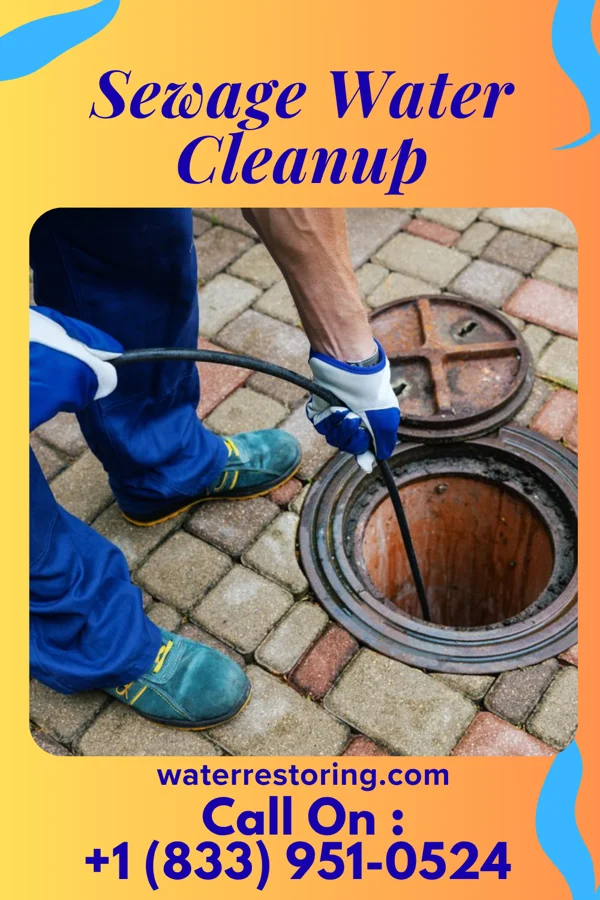 Sewage Water Cleanup in Cherry Grove, OR