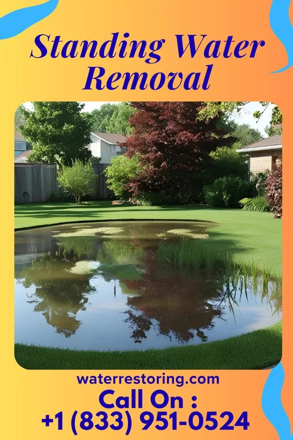 Standing Water Removal in Cherry Grove, OR